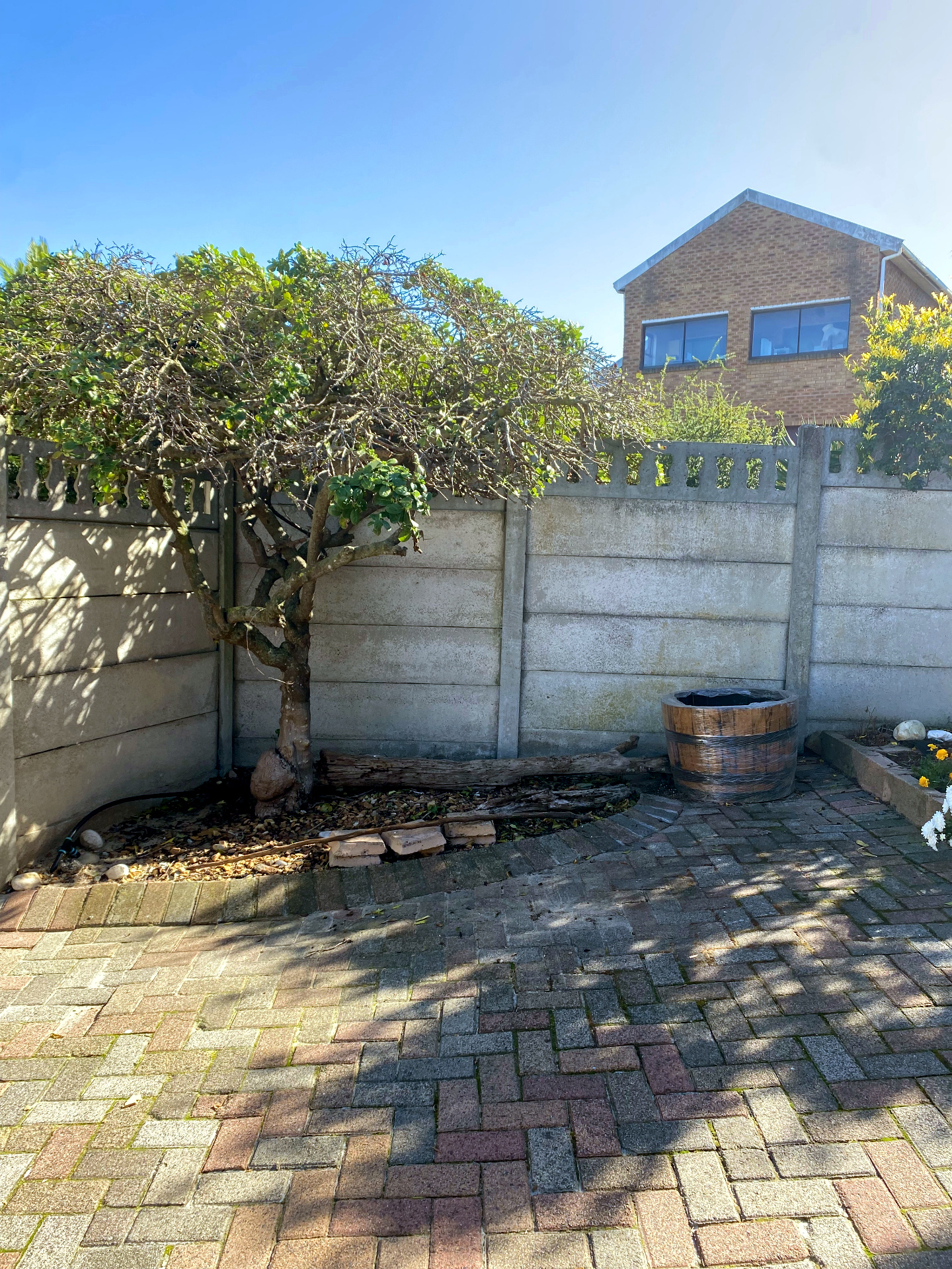 Cleared outdoor space after waste removal